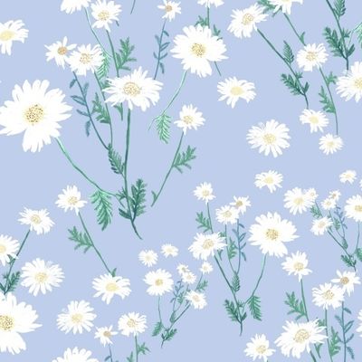 Ромашки на голубом фоне