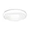7679/DL PALE SN 202 Светильник пластик/белый LED 48Вт 3000-6000К D380 IP43 пульт ДУ FASS