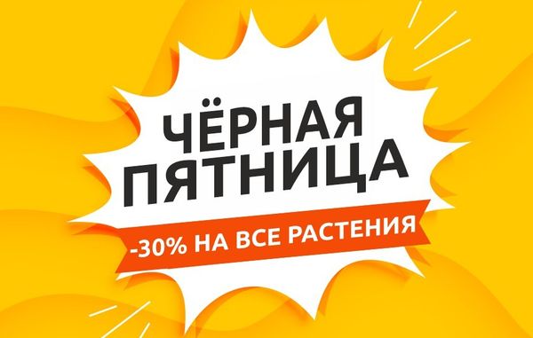 Чёрная пятница в садовом центре Биосфера!