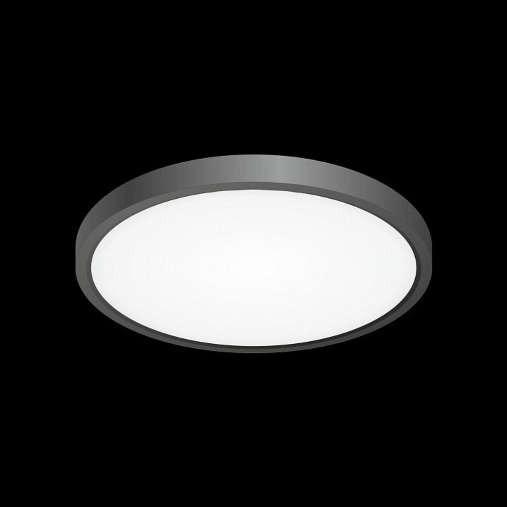 Накладной светильник Citilux Бейсик CL738241V