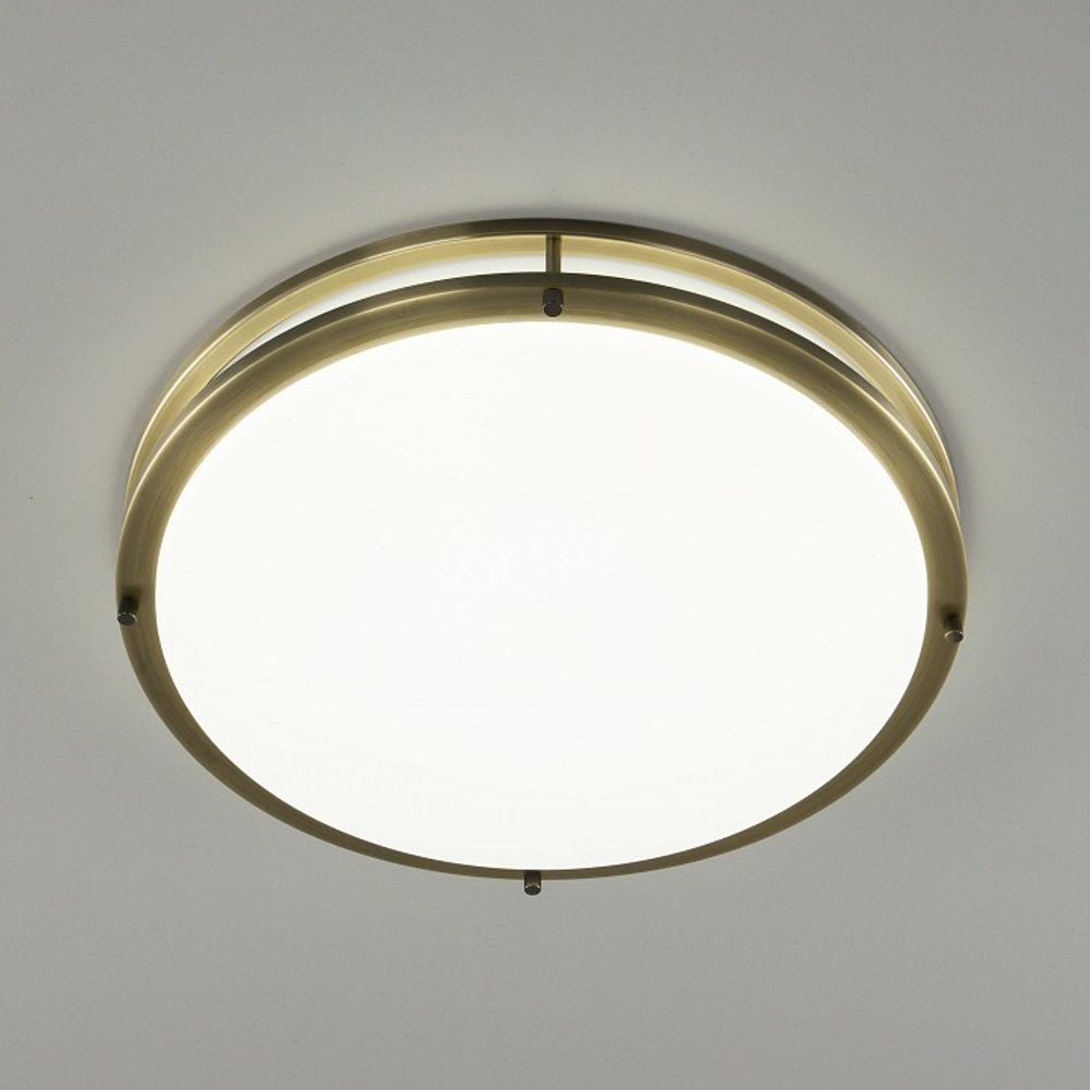 Накладной светильник Citilux Бостон CL709503N