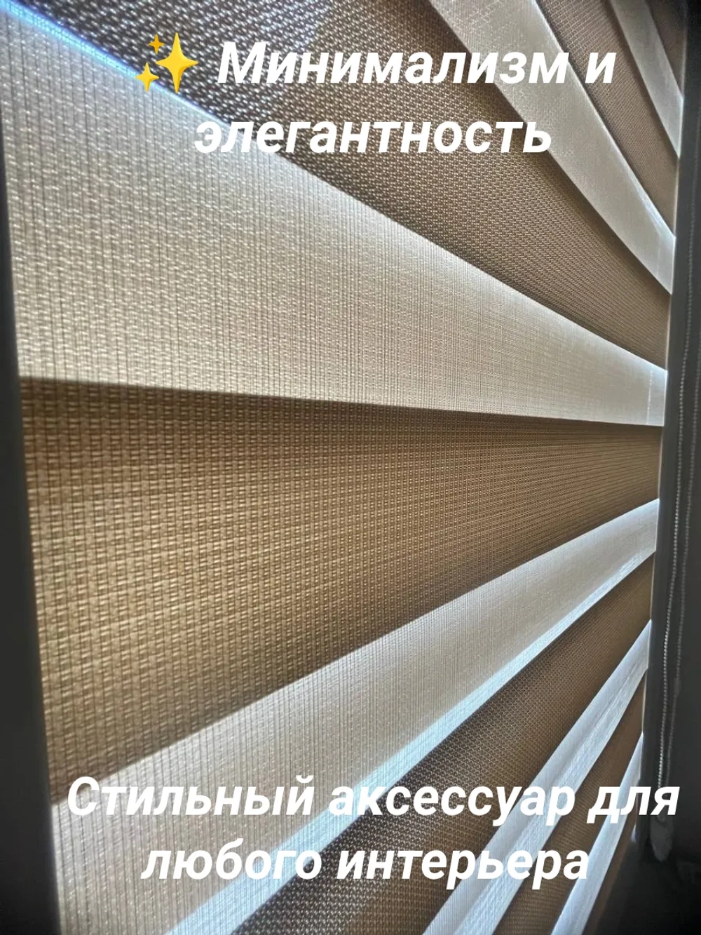 Рулонные шторы День-Ночь 55×110 см
