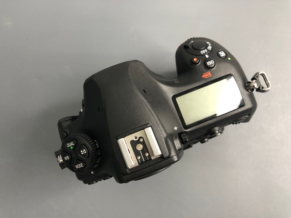 Nikon D850 (520 кадров)
