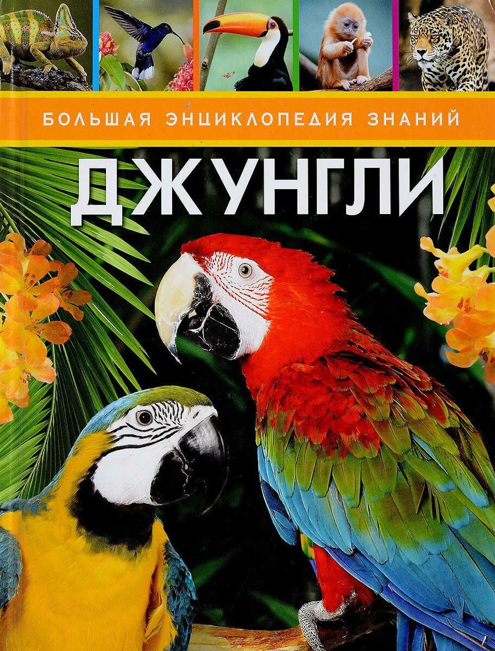 Джунгли