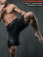 Шорты спортивные тренировочные LEGENDA Хохлома серая (3XL)