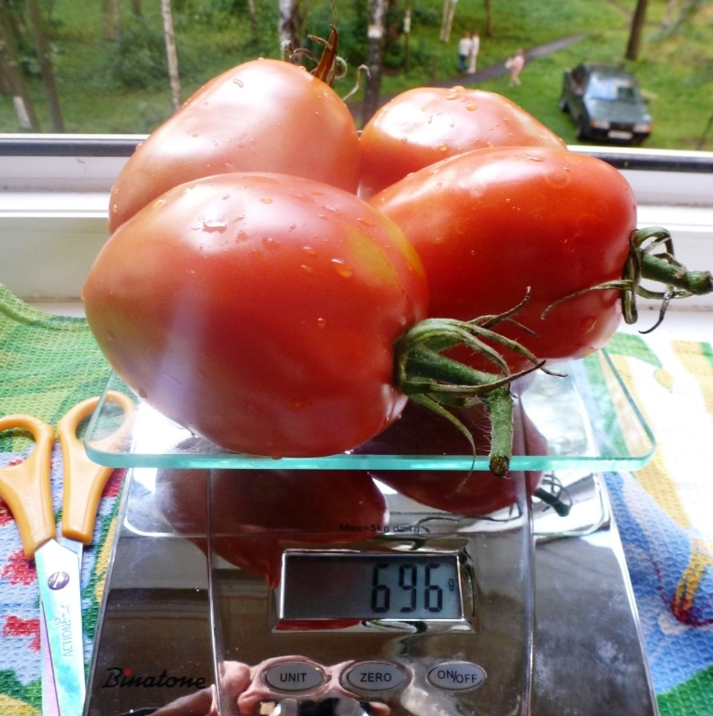 Помидоры Бочковой Засол