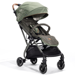 Прогулочная коляска Joie Tourist