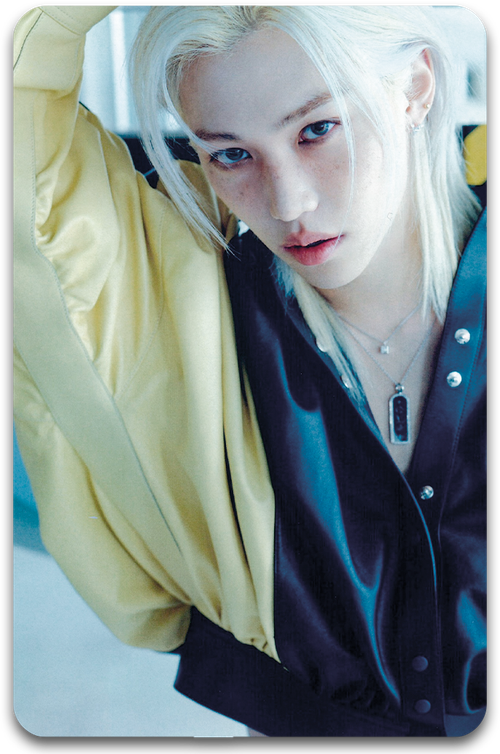 Карта / STRAY KIDS #1438