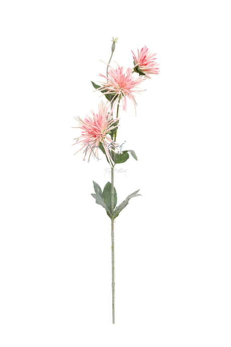 Хризантема 3 соцветия - Светло-розовый