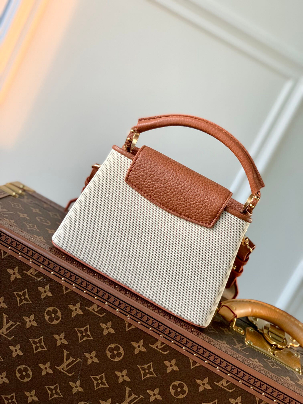 Louis Vuitton Capucines Mini