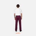  Брюки мужские Dickies Skateboarding Twill Pants артикул:WPSK67MR - купить в магазине Дайс