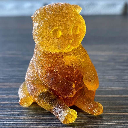 Кот забавно сидит