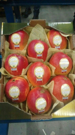 манго сорт "Tommy Atkins" - Бразилия