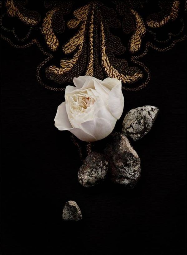 Yves Saint Laurent Exquisite Embroidery