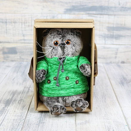 Кот Басик в зеленой толстовке с карманом-кенгуру