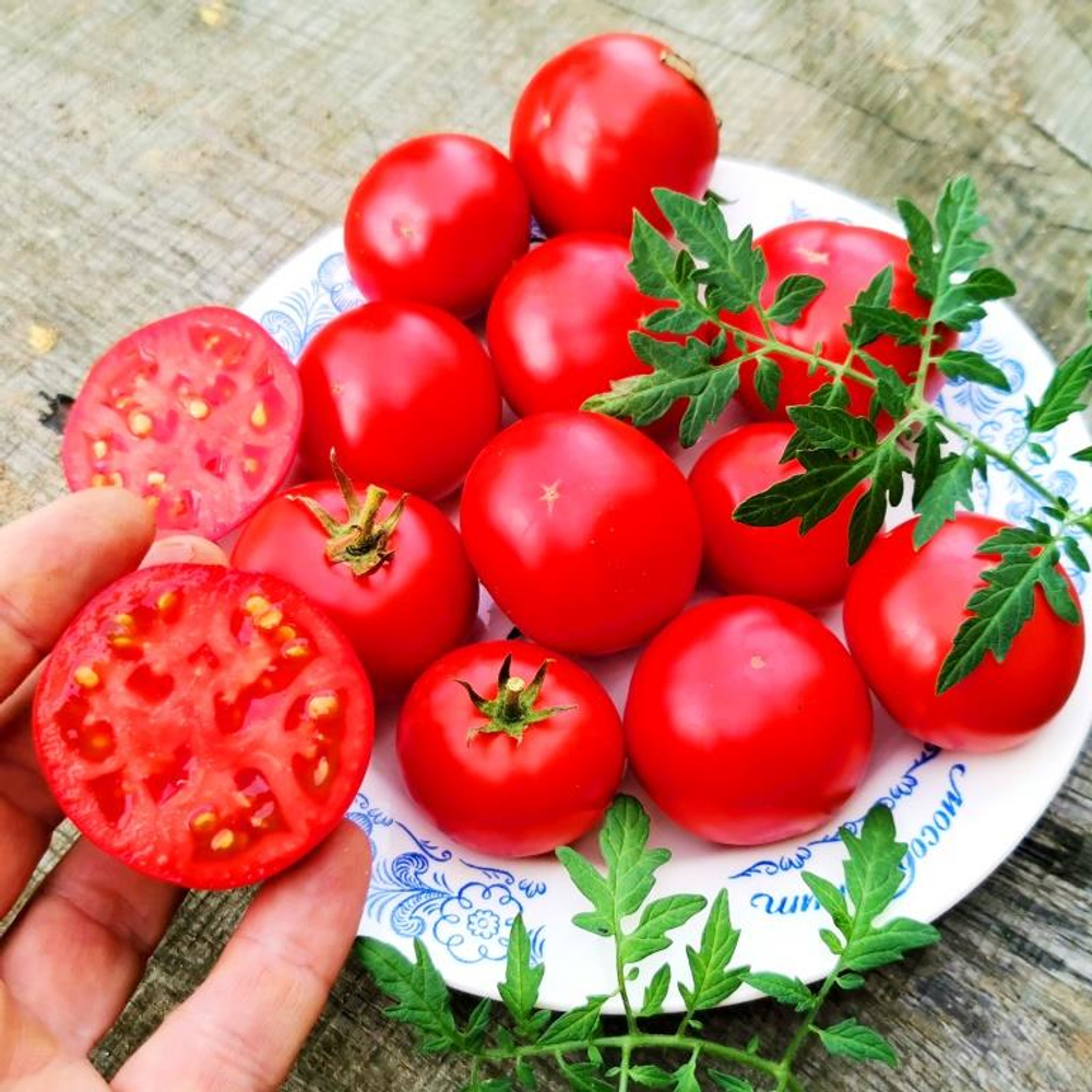 Помидоры Silvery Fir Tree - Серебристая или Голубая Ель