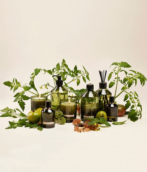 Интерьерные духи-спрей Томатный лист, Christian Tortu