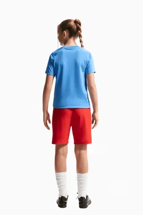 Футболка Nike Dry Park VIII Junior - голубой