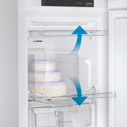Морозильная камера Indesit DFZ 4150.1