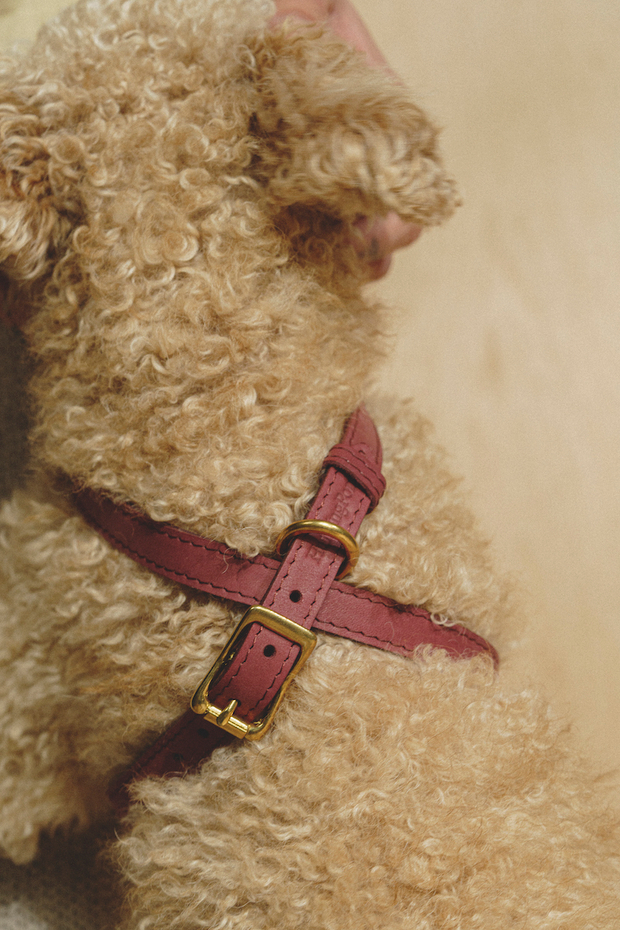 Цельнокожаная шлейка Винный