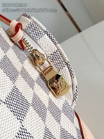 Louis Vuitton Montsouris Backpack PM