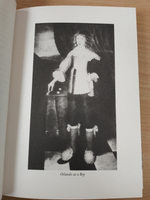 Orlando (Vintage Classics Woolf)