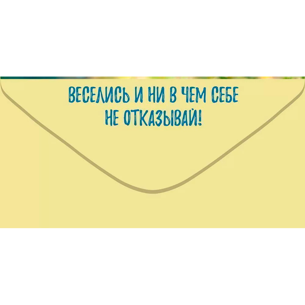 Конверт для денег Пусть будет настроение: тратить деньги и хихикать 70.725