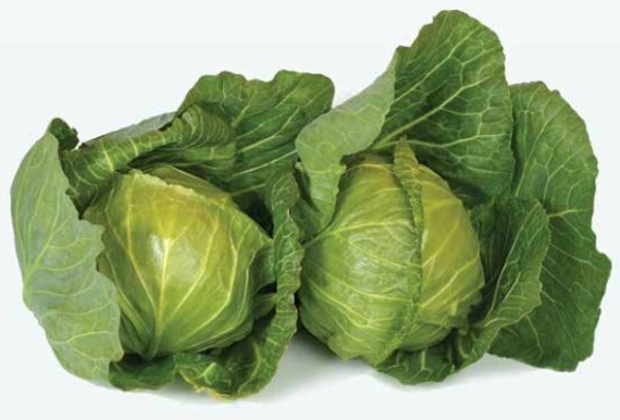 Росберг F1 семена капусты белокочанной продукт – фото 4