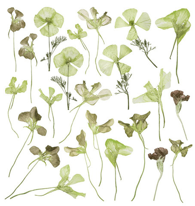 Дизайнерские обои Wall Street GreenDay