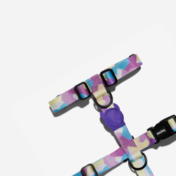 Шлейка CANDY Zee.Dog