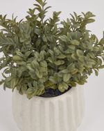 Искусственное растение Milan Leaves в белом керамическом горшке 23.5 cm