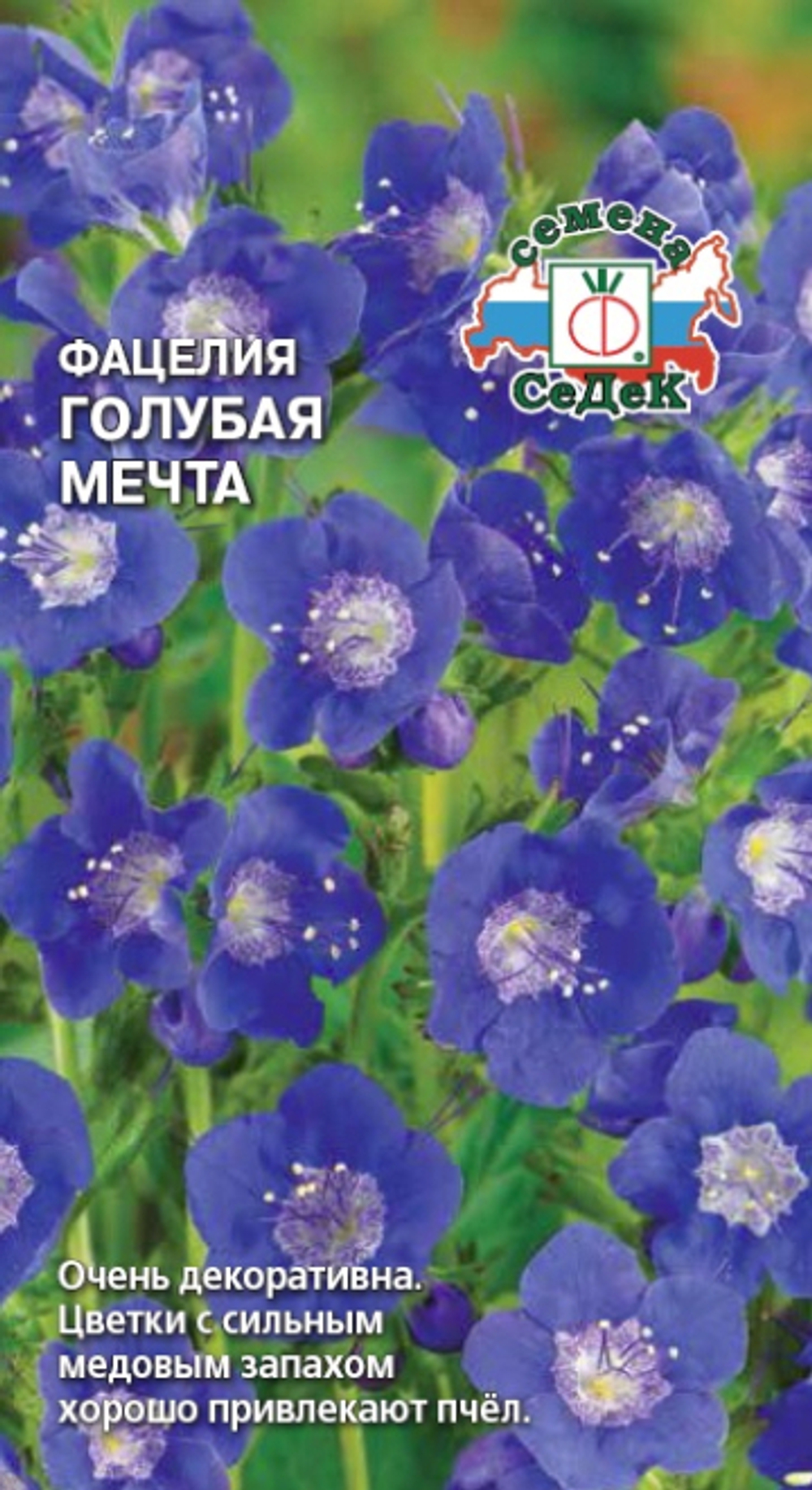 Фацелия Голубая мечта