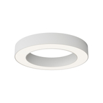 Потолочный светильник Technical C093CL-36W4K-W