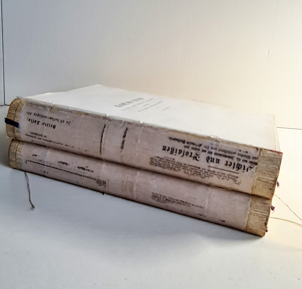 "Людовик XVII его жизнь, его агония, его смерть; пленение королевской семьи в Тампле. (Louis XVII sa vie, son agonie, sa mort; captivite de la famille royale au temple) Tome 1, 2". Par M.A. de Beauchesne. 1866г.