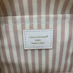 Louis Vuitton Speedy 20
