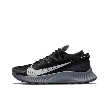 Nike Pegasus Trail 2 Dark Smoke Grey