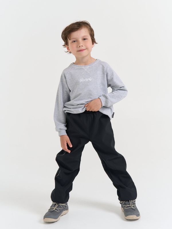 Брюки Softshell демисезонные 