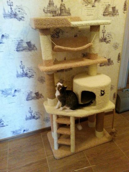 Когтеточка И-82