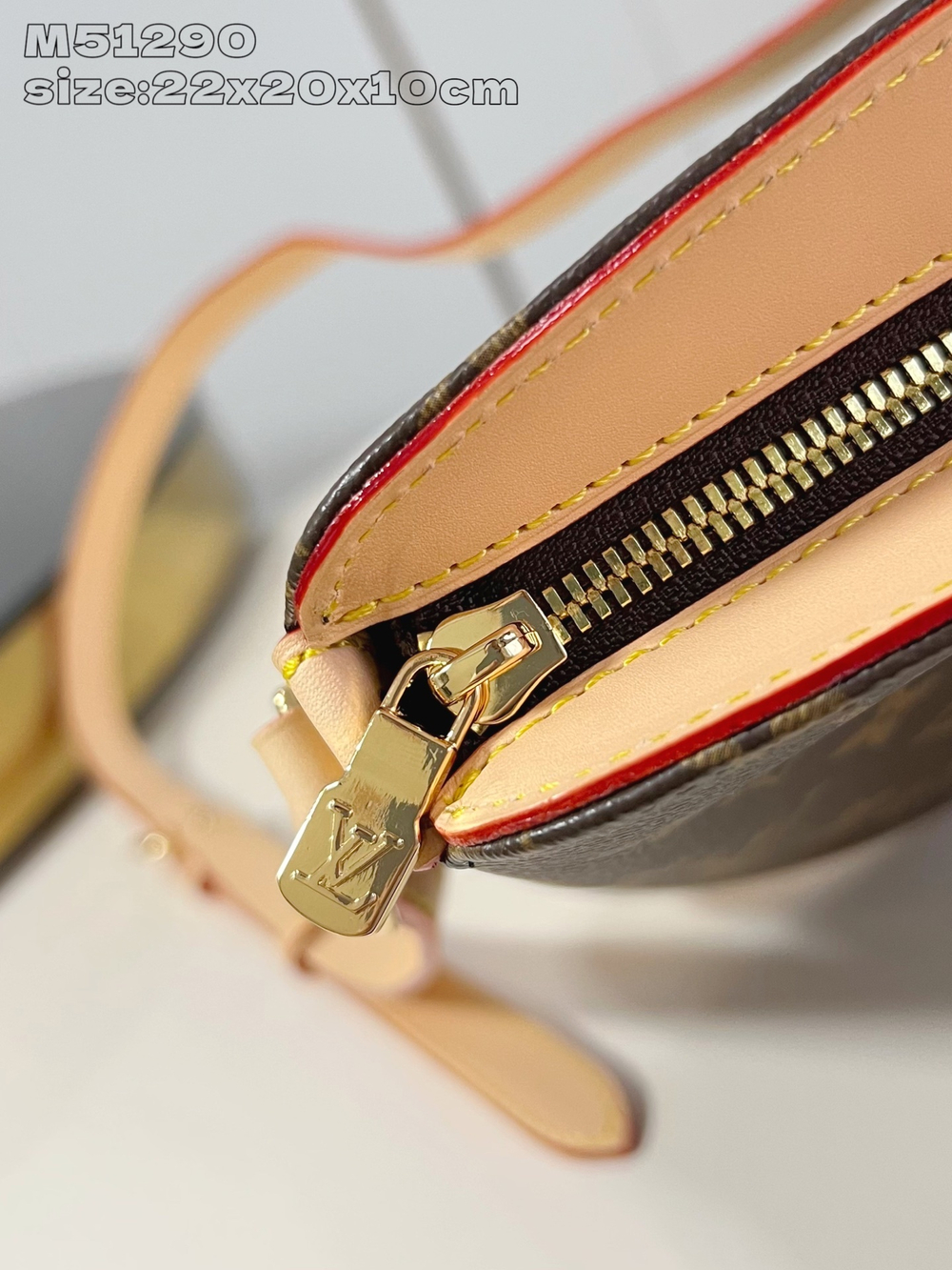 Louis Vuitton Drouot Shoulder Bag