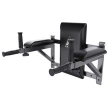 Брусья настенные DFC Homegym G294