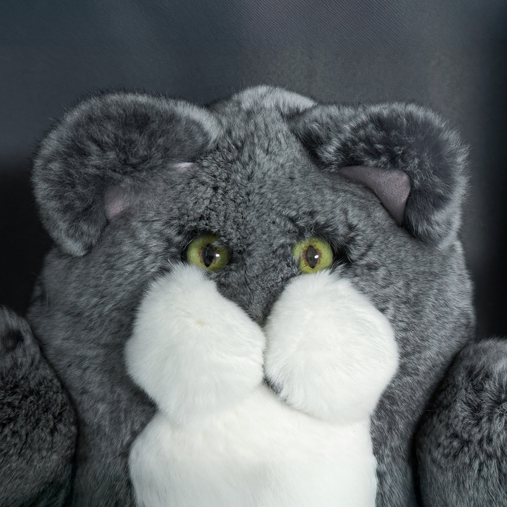 Кот Марсель (серый)