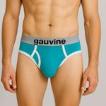 Мужские трусы брифы бирюзовые GAUVINE 2002