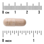 Swanson Vitamins, комплекс экстрактов трав для памяти, 60 капсул