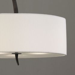 1153 Люстра подвесная EVE