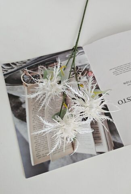 Гвоздика песчаная / Арт 2389