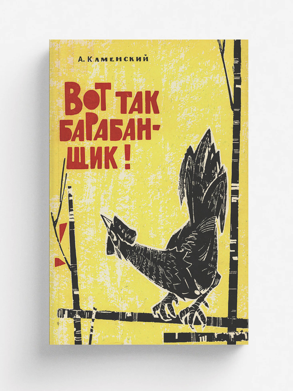 Вот так барабанщик! | Каменский Александр Владимирович