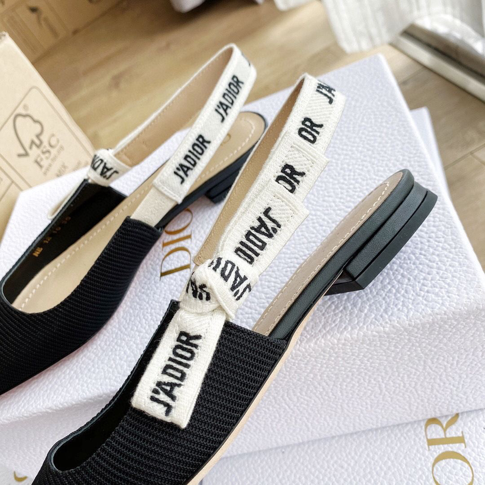 Балетки Christian Dior