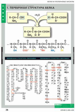 Комплект таблиц «Белки и нуклеиновые кислоты»; 8 таблиц