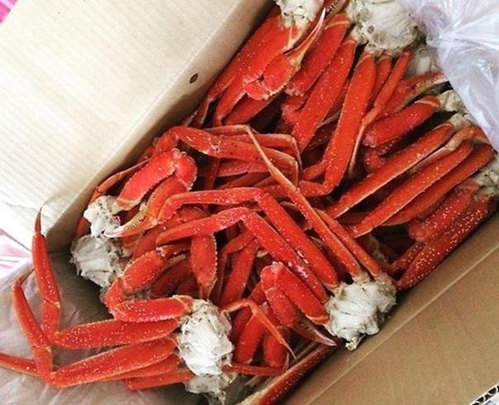 Клешни краба Стригуна Опилио