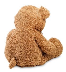 PT- 33 Медведь